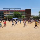 매화랜드 이미지