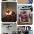 프리저브드플라워단미아토