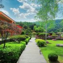 별무리관광펜션 이미지