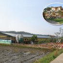 양금농장 이미지