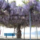 냉천어촌체험마을 이미지