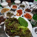 옥경이호프 Daum카페