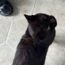 밤비노집 | 남해 밤비노집 감성 게스트하우스 추천 조식 내돈내산