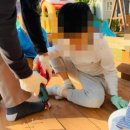 꿈이있는사과나무 이미지