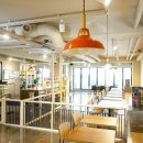 강남애견 이미지