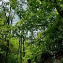 초안산 캠핑장 이미지