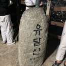 비룡태권도 이미지