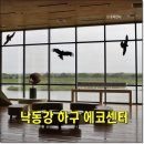 하단동1240 이미지