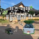 비단위의꽃 | 경주 비단벌레차 현장구매 후기 | 고민하신다면, 무조건 비단벌레차 타시라 알려드리는 글