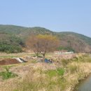 진전면912 이미지