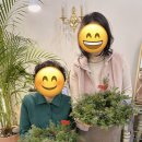 따뜻한 겨울 캔들리스 이미지