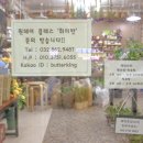 꽃을닮다 이미지
