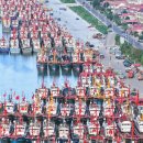 신화8호 이미지