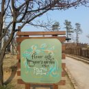 POP예쁜글씨, 캘리그라피 이미지