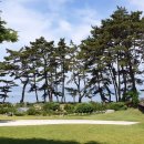 3월펜션 이미지