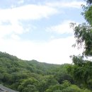 거목민박 이미지