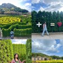 미로공원 화장실 이미지