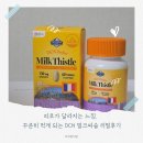 피로가 달라지는 느낌, 꾸준히 먹게 되는 DCN 밀크씨슬 리얼후기