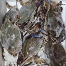 25.7.17 제헌절 출석부 이미지