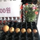 부자축산계란집 이미지