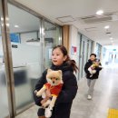 증산중학교 | [서울] 초등학교 6학년 1학기 전교회장 선거 포스터 공약 연설문 당선 후기