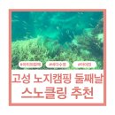 아야진작은집 | 강원도고성 스노쿨링 바닷속 모습!! 아야진해수욕장 스노클링, 가족과 함께 해변 노지캠핑 둘째날