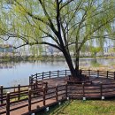 청수호수공원 이미지