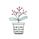 정심한의원 이미지