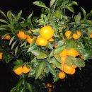 하례환승정류장 이미지