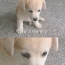 있어