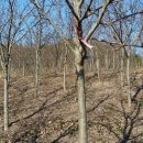 춘양농장 이미지