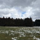 2173 | 겨울 제주 셀프 웨딩 스냅 (장소,촬영포즈,꿀팁,후기) 업체x 헬퍼x