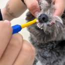 요리조리유치원 이미지