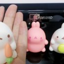 롯데리아영월점 이미지