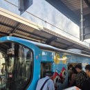 차go치go MotorS | 5박6일 오사카 교토(2025.05월) - 5,6일차 | 유니버셜 스튜디오 |