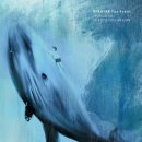 영상으로 만나는 스냅 이미지