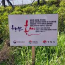 선창해상낚시터 이미지