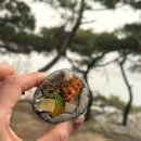 복바다김밥