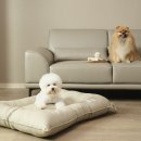 한화리조트/평창 이미지