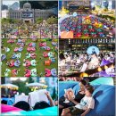 서울야외도서관에서 책과 함께하는 어린이날…‘책읽는 서울광장’ 5월 1일 개장·DDP 미니 야외도서관까지 이미지