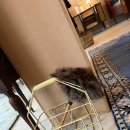 시작에머물다 이미지