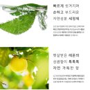 비앤원헤어 | 빅그린 천연 두피샴푸 23센시티브 스칼프 샴푸 외 3종 빅그린 사용후기!!