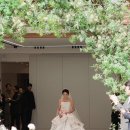 필동로 | 서울 야외웨딩 라비두스 투어 및 계약 후기 (26년 하반기 견적 공유)