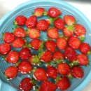 [노오븐/노버터] 초코딸기생크림케익을 만들어 보았읍니다. (말많음주의) 이미지