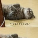 김공주 이미지