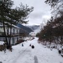 여울숲펜션 이미지