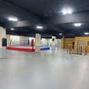 조치원 세종복싱클럽 이미지