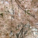 토정로 104 네이버블로그