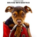 홈 9 (HOME 9) 이미지