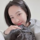 헤어스튜디오단골 이미지